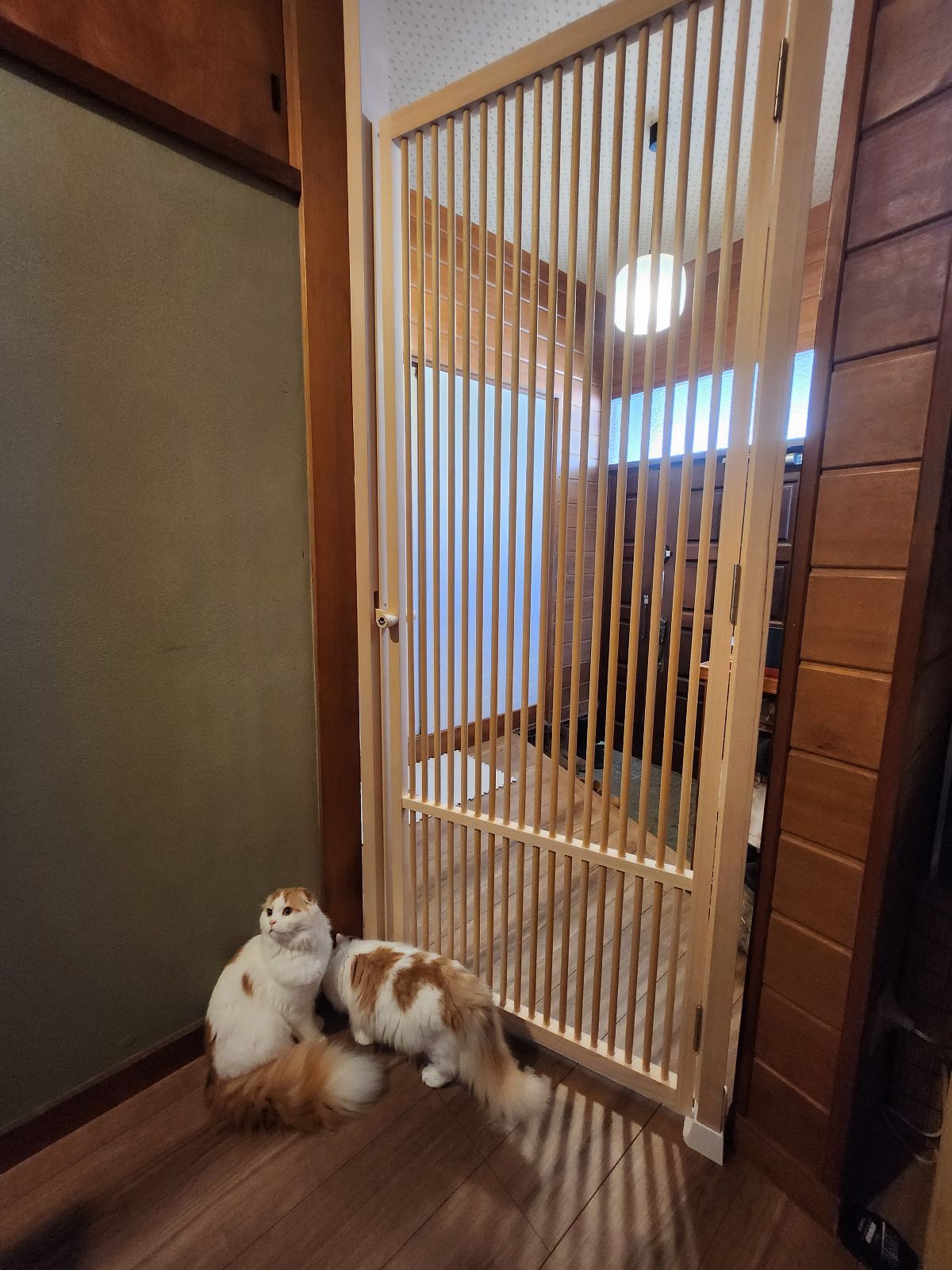 茅ヶ崎市　Ｔ様邸　猫脱走防止柵（にゃんがーど）